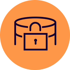 Infrastructure Security icon